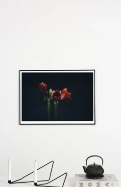 Applicata - Plakat - Dark red - Fotoplakat - 30x40 cm