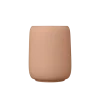 Blomus - Tooth Tumbler - SONO - Amber Brown