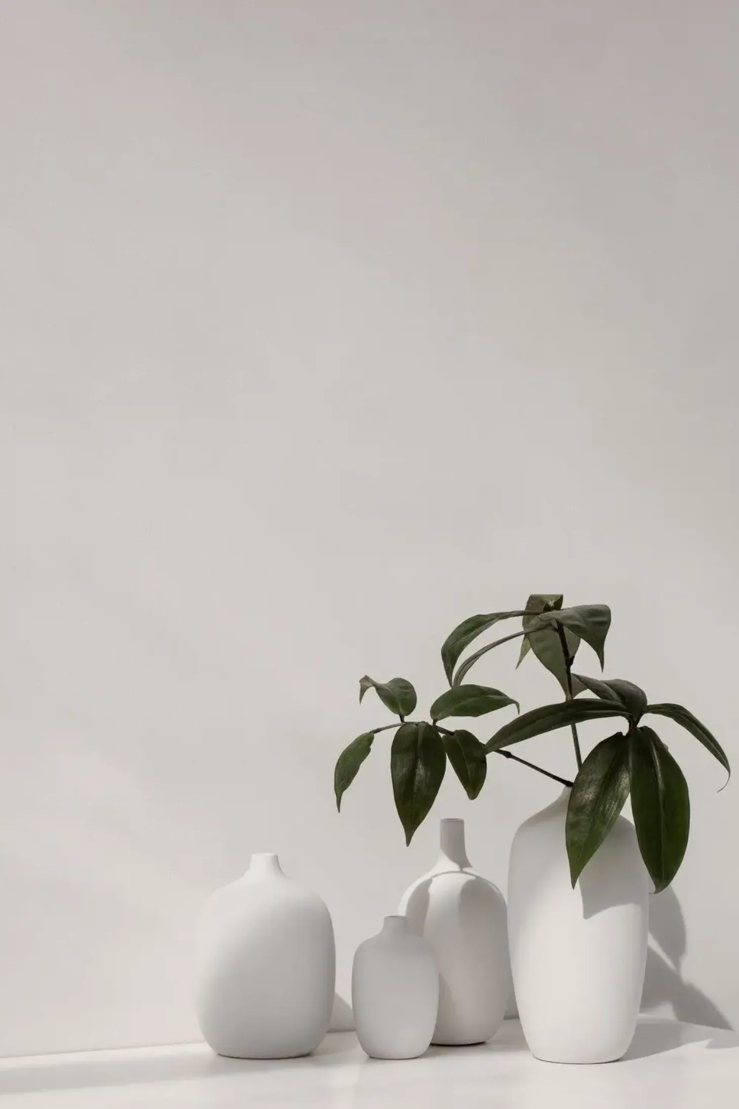 Blomus - Vase - White - CEOLA
