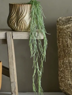Bloomingville - Tilandsia Kunstig Plante - Grøn, Plastik