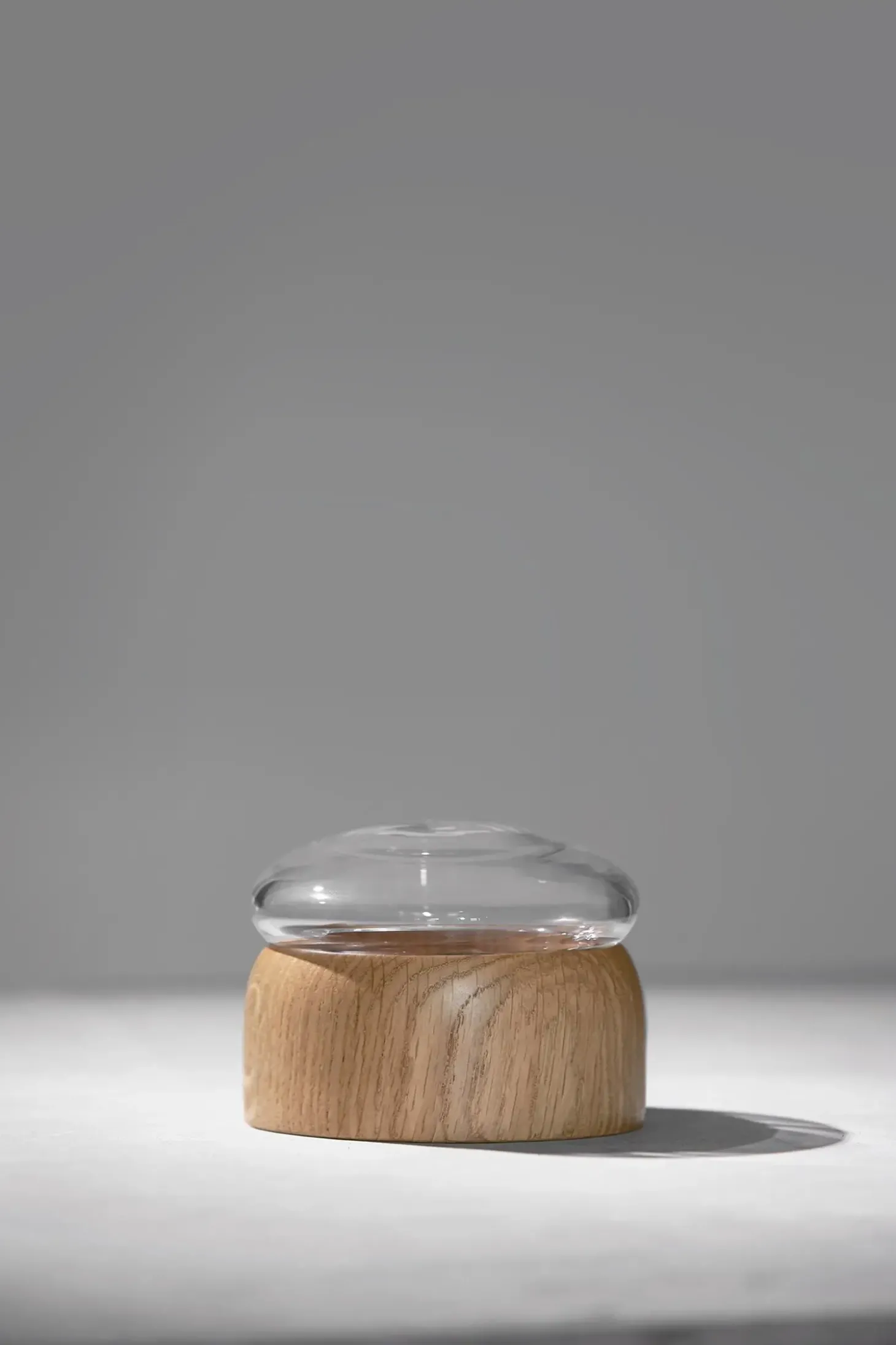 ChiCura - Boletus - Eg - Klar - 12 cm