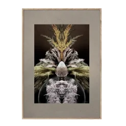 ChiCura - Vintage Reflection CC1 - 50/70