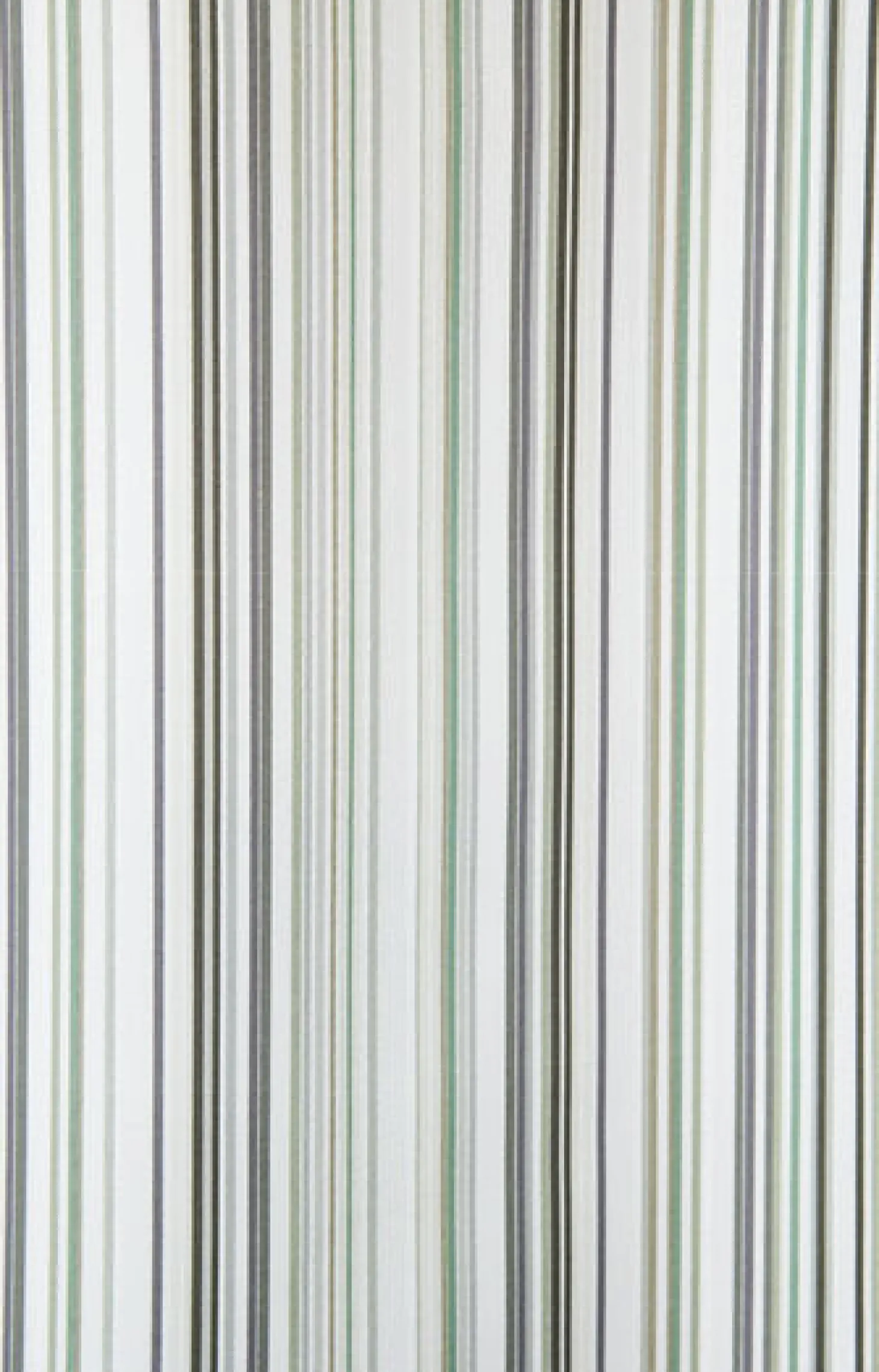 Compliments - Badeforhæng - Spectrum shower curtain w/eyelets 200 cm - Grøn