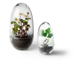 Design House Stockholm - Grow Greenhouse - X-Large - Ø: 20 cm, H: 32 cm