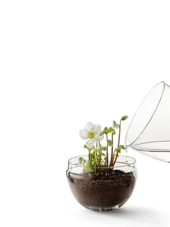 Design House Stockholm - Grow Greenhouse - X-Large - Ø: 20 cm, H: 32 cm
