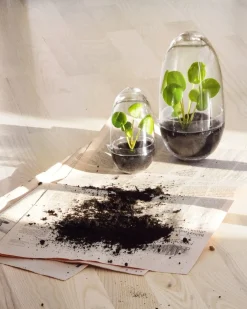 Design House Stockholm - Grow Greenhouse - X-Large - Ø: 20 cm, H: 32 cm