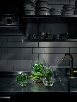 Design House Stockholm - Grow Greenhouse - X-Large - Ø: 20 cm, H: 32 cm