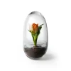 Design House Stockholm - Grow Greenhouse - Medium