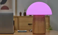 Gingko - Alice Mushroom Lamp - Large - White Ash Wood