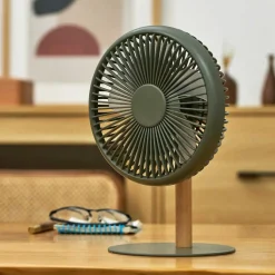 Gingko - Beyond Detachable Desk Fan/ Light Smart Green