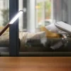 Gingko - Octagon One Desk Lamp - Walnut