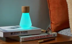 Gingko - Pentagon Light bulb Lamp Mini White Ash Wood