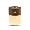 Gingko - Smart Diffuser Lamp Walnut