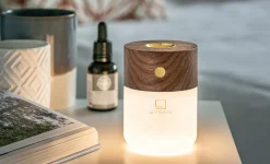 Gingko - Smart Diffuser Lamp Walnut