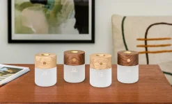 Gingko - Smart Diffuser Lamp White Ash