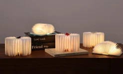 Gingko - Super Mini Smart Book Light - Palm Edition - Ahorn