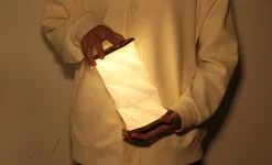 Gingko - Twist Hexagon Lamp - Walnut