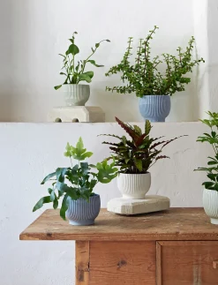 Knabstrup Keramik - urtepotteskjuler Ø 18 cm ripple mint