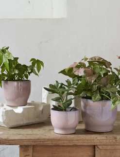 Knabstrup Keramik - urtepotteskjuler Ø 16.5 cm rose