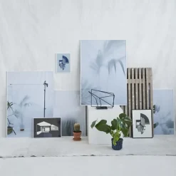 Kristina Dam - Ball Cactus II - poster 50x70 cm