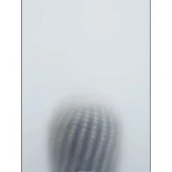 Kristina Dam - Ball Cactus I - poster 50x70 cm