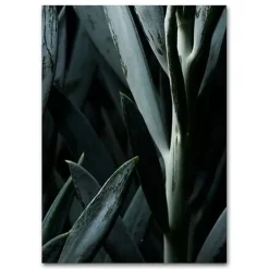Martin Moore plakat - Plants plakat Blue Succulent 1 A3