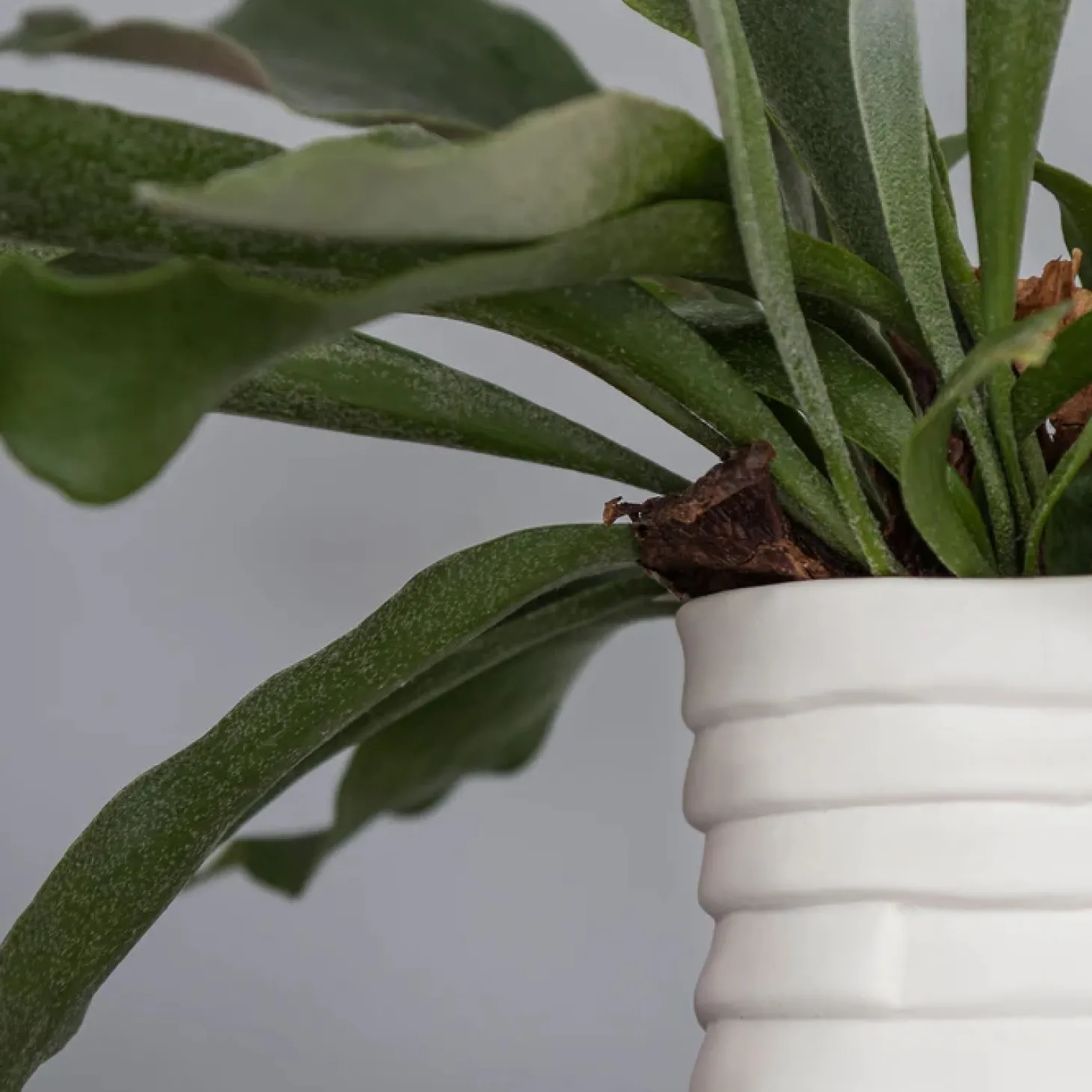 Mette Ditmer - RIBBON Vase - Large - Off-white