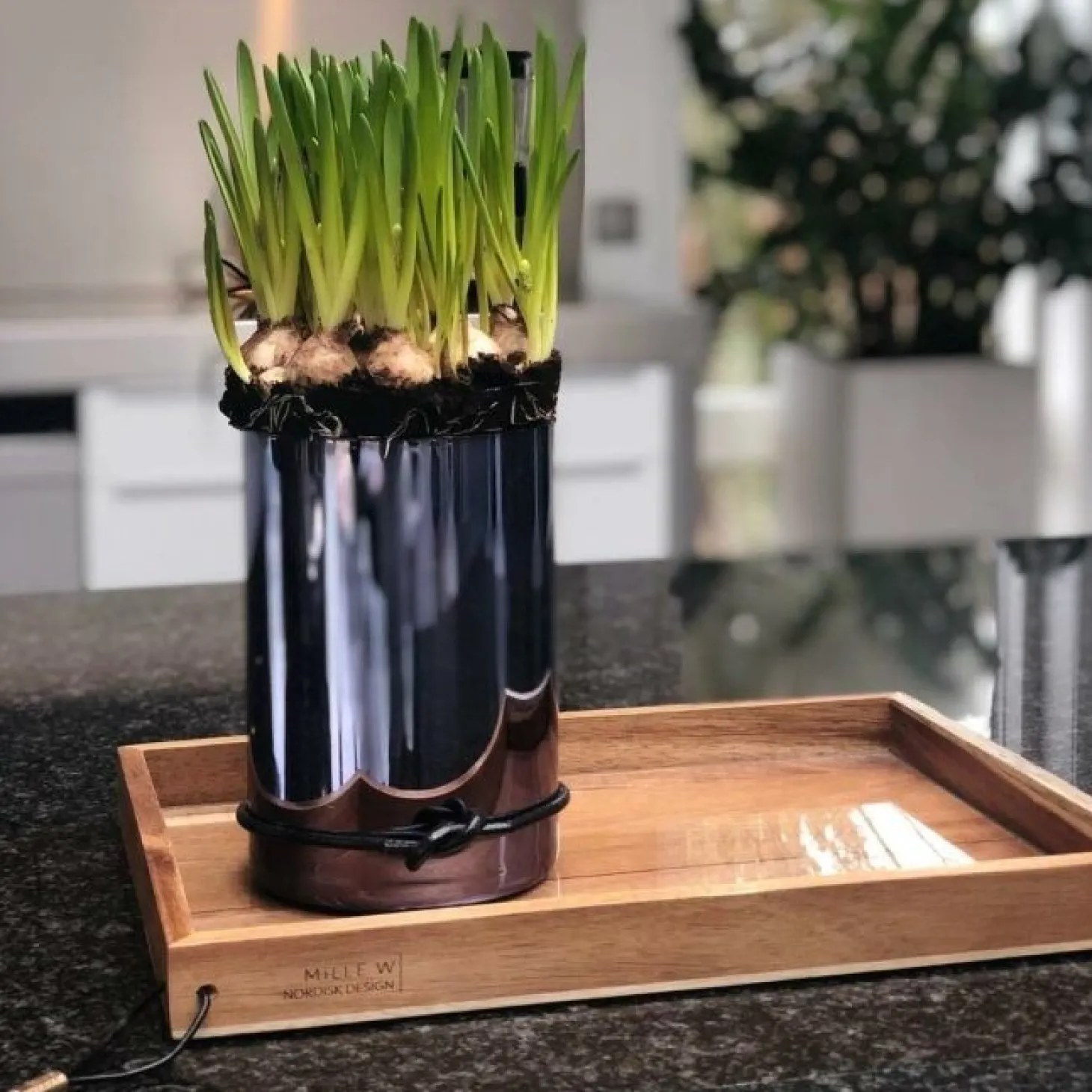 MiLLE W NORDISK DESIGN - Lyslygte/Vase i medium (Sort)