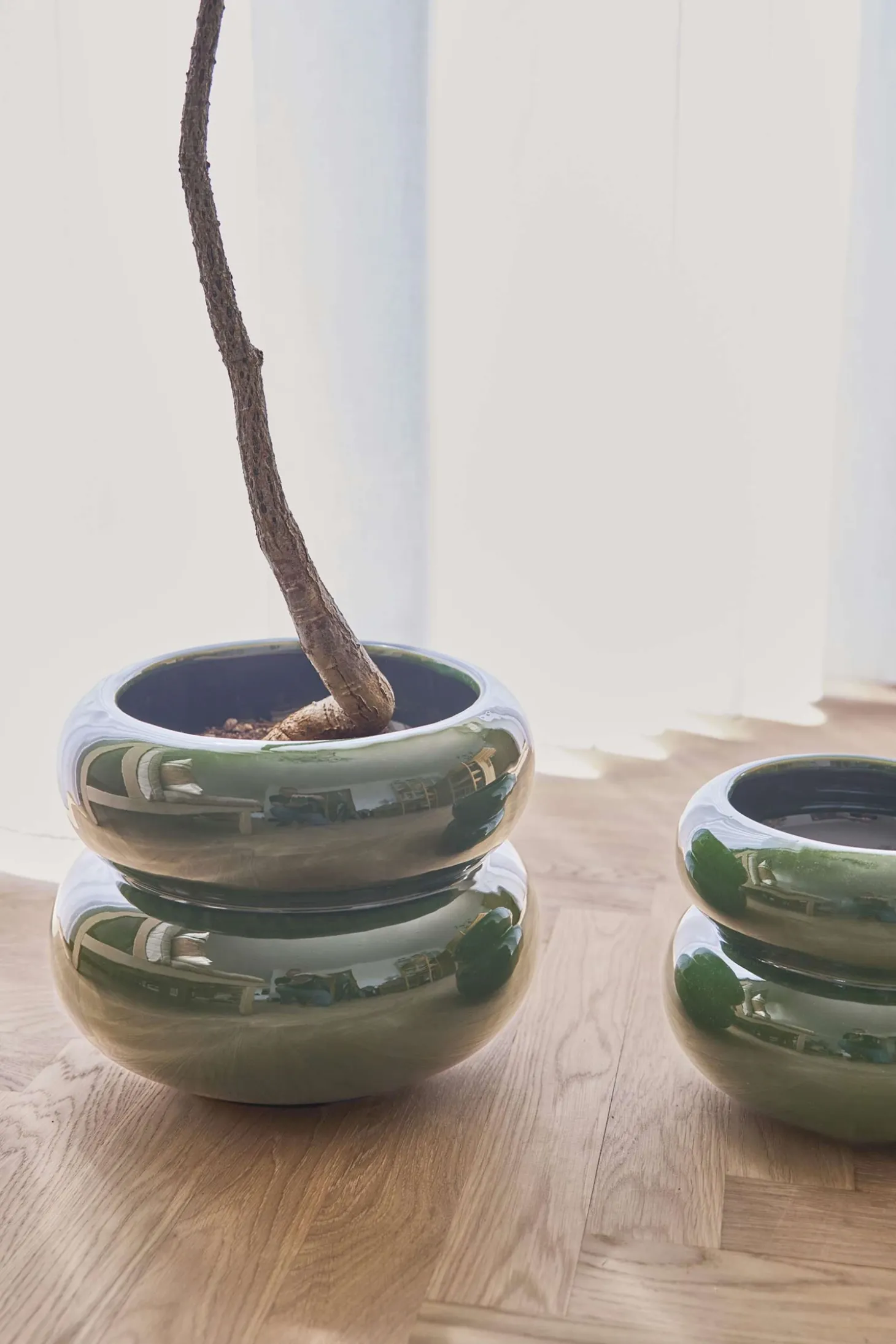 Oyoy - Plantekrukke - Kupla - Small - Grøn