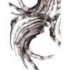 Paradisco Production illustration - GLORIOR A3