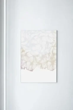 Paradisco Productions illustration - Soft Transparency plakat (70 x 100)