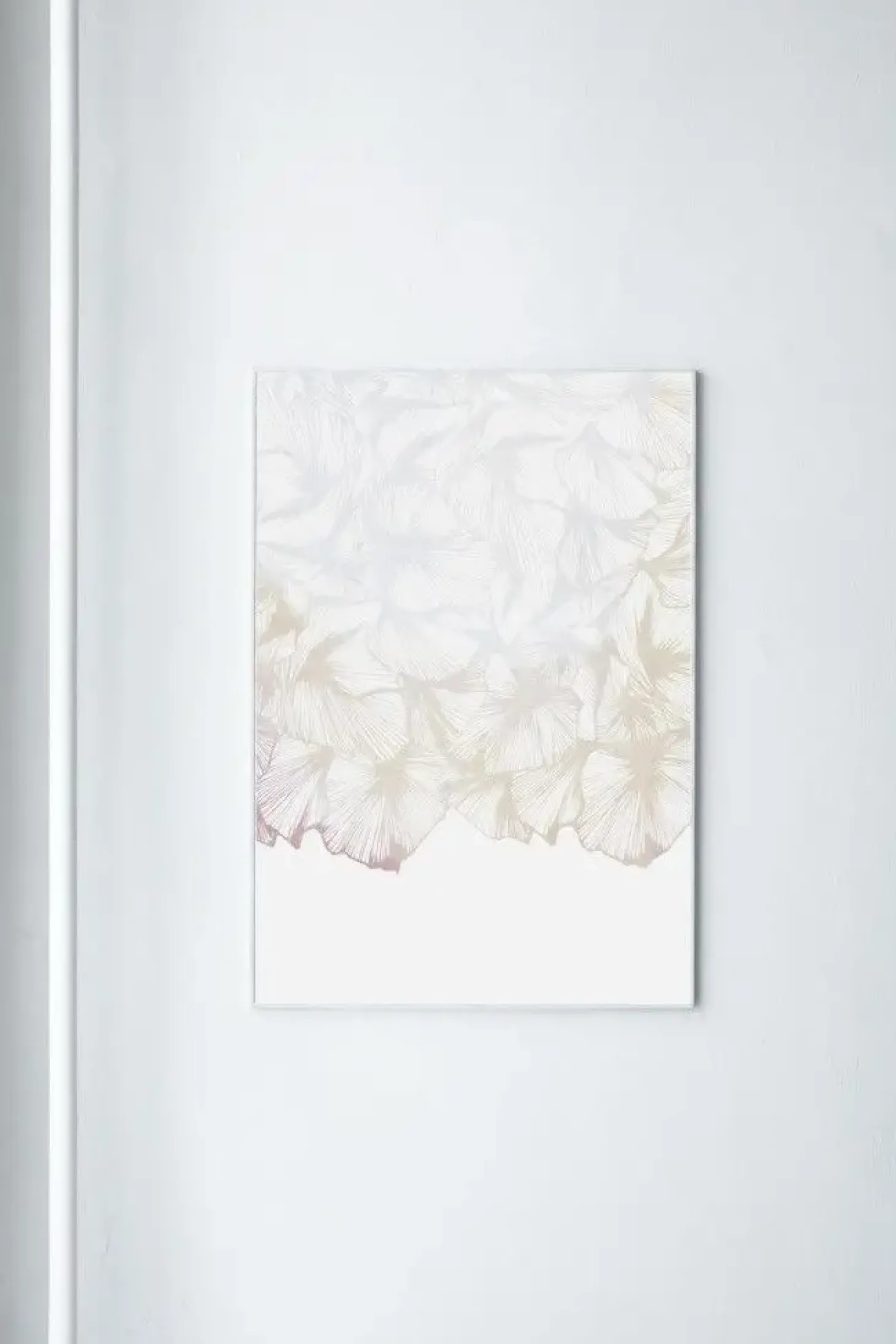 Paradisco Productions illustration - Soft Transparency plakat (70 x 100)