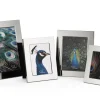 Philippi - Celeste frame, 10 x 15 cm