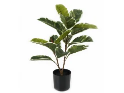 Present time - Artificial plant Oak Leaf