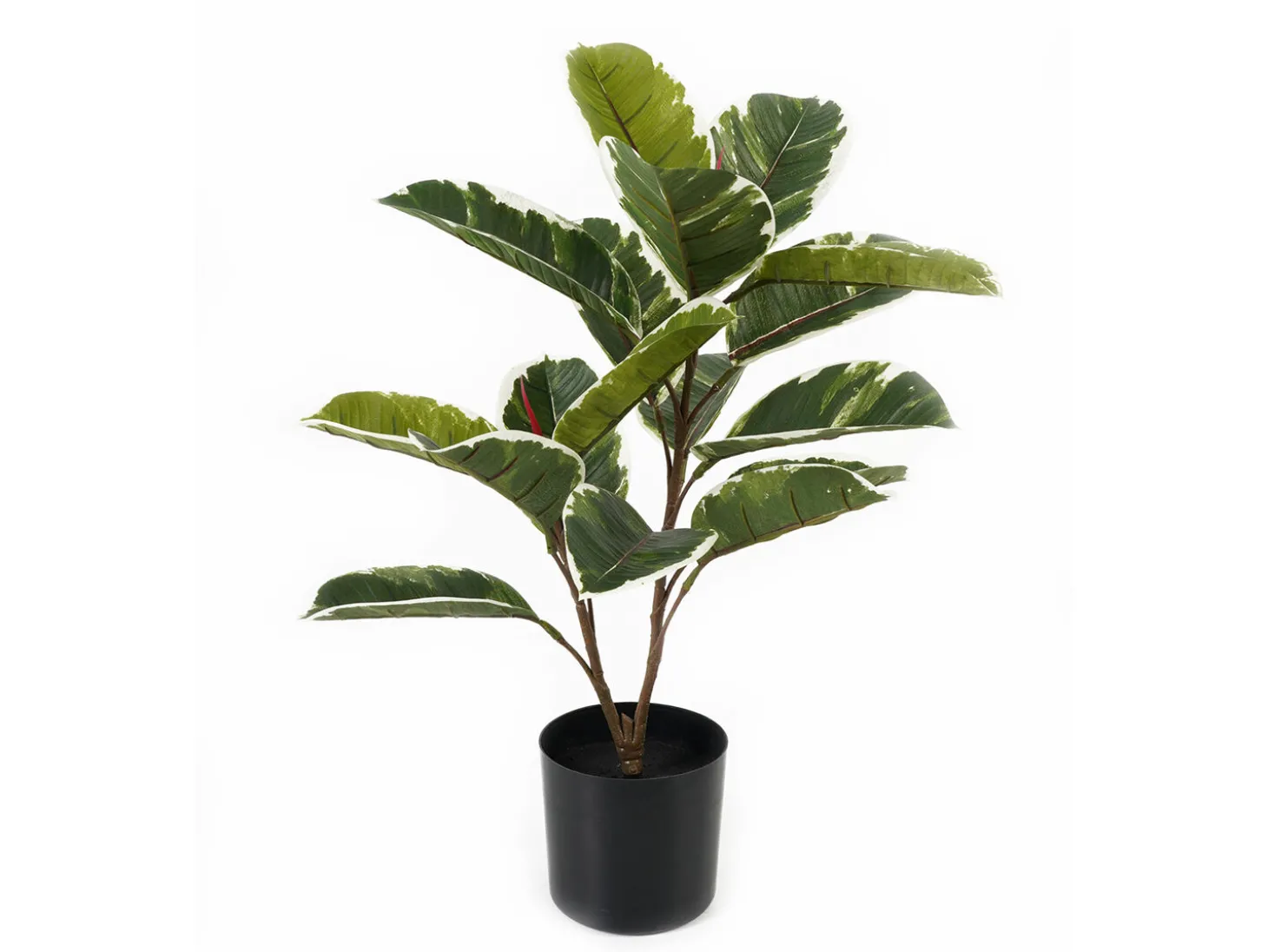 Present time - Artificial plant Oak Leaf