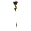 Present time - Artificial plant Protea Flower small burgundy red