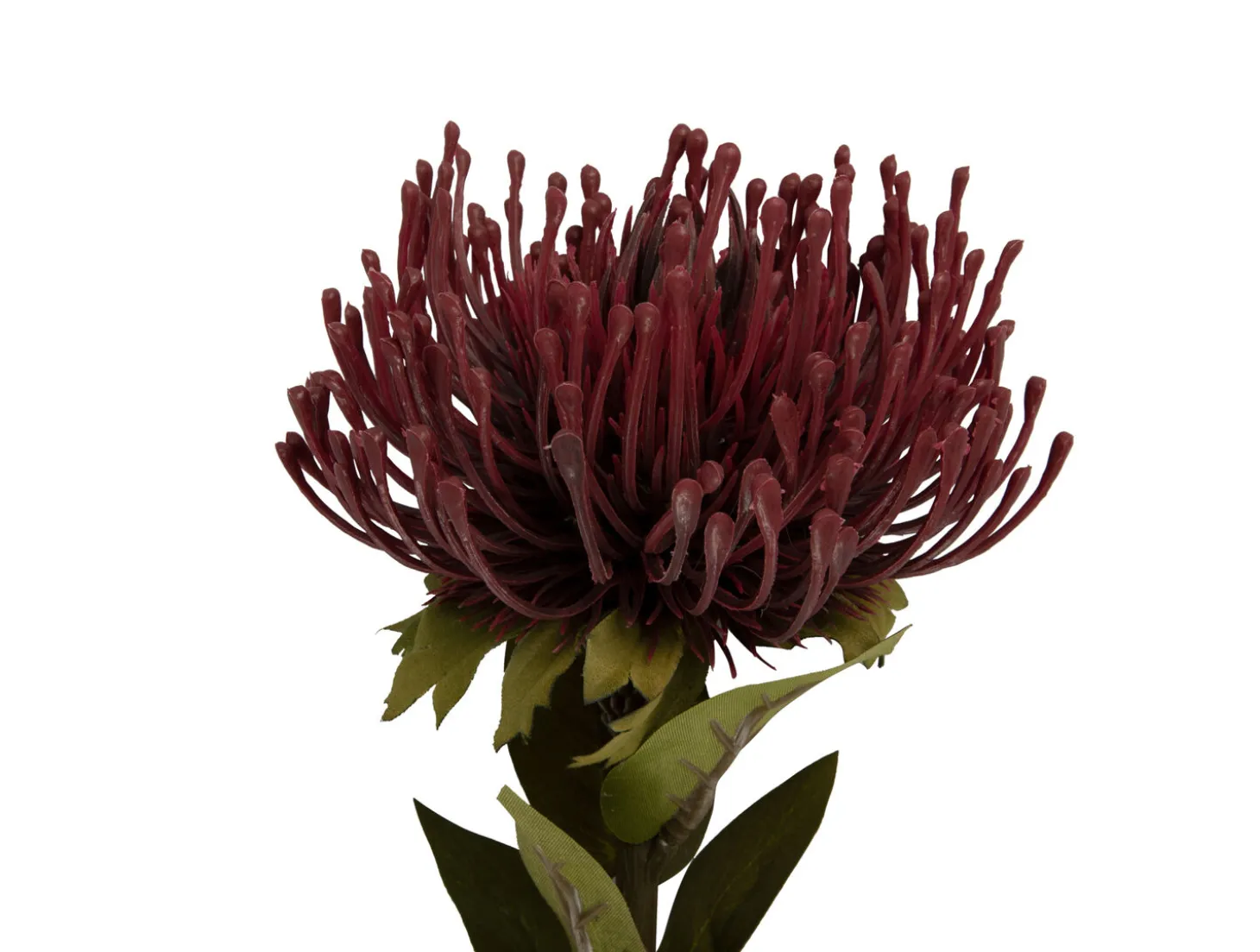 Present time - Artificial plant Protea Flower small burgundy red