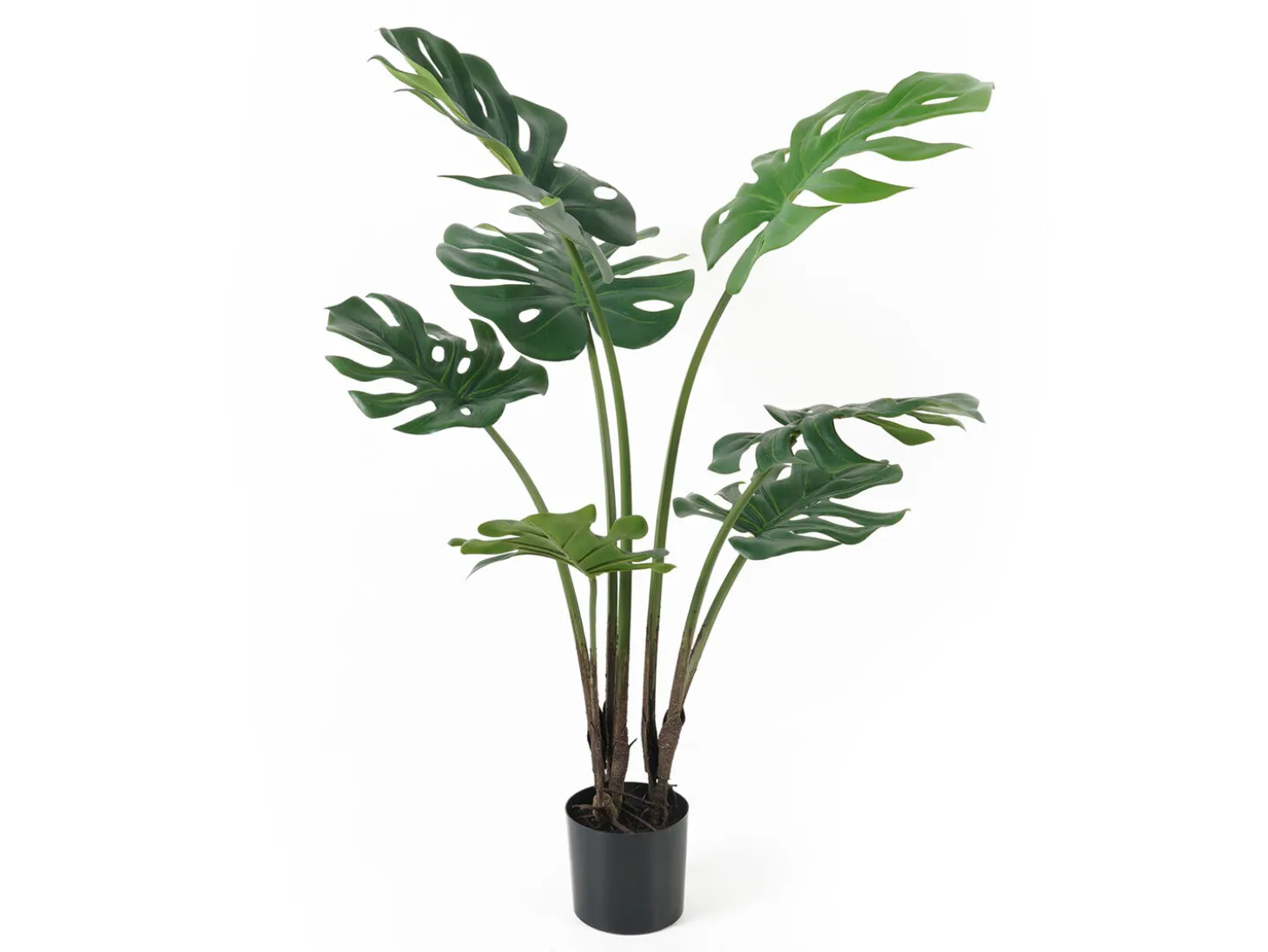Present time - Artificial plant Monstera