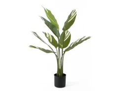 Present time - Artificial plant Calathea green w. white