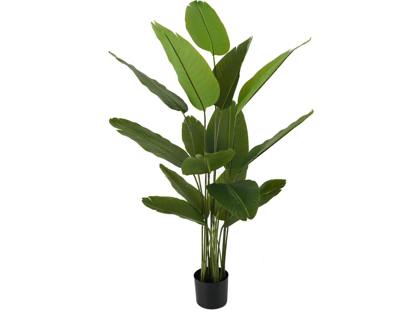 Present time - Artificial plant Canna green