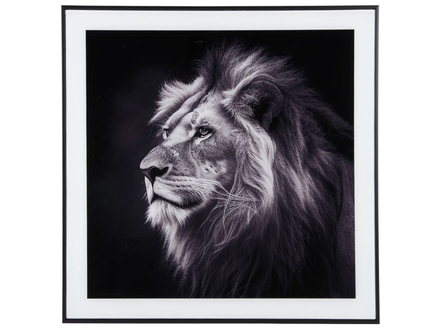 Present time - Photo art Lion glass black & white