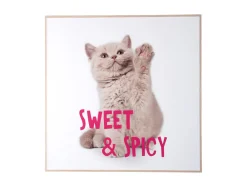 Present time - Wall art kitten Sweet & Spicy bright pink