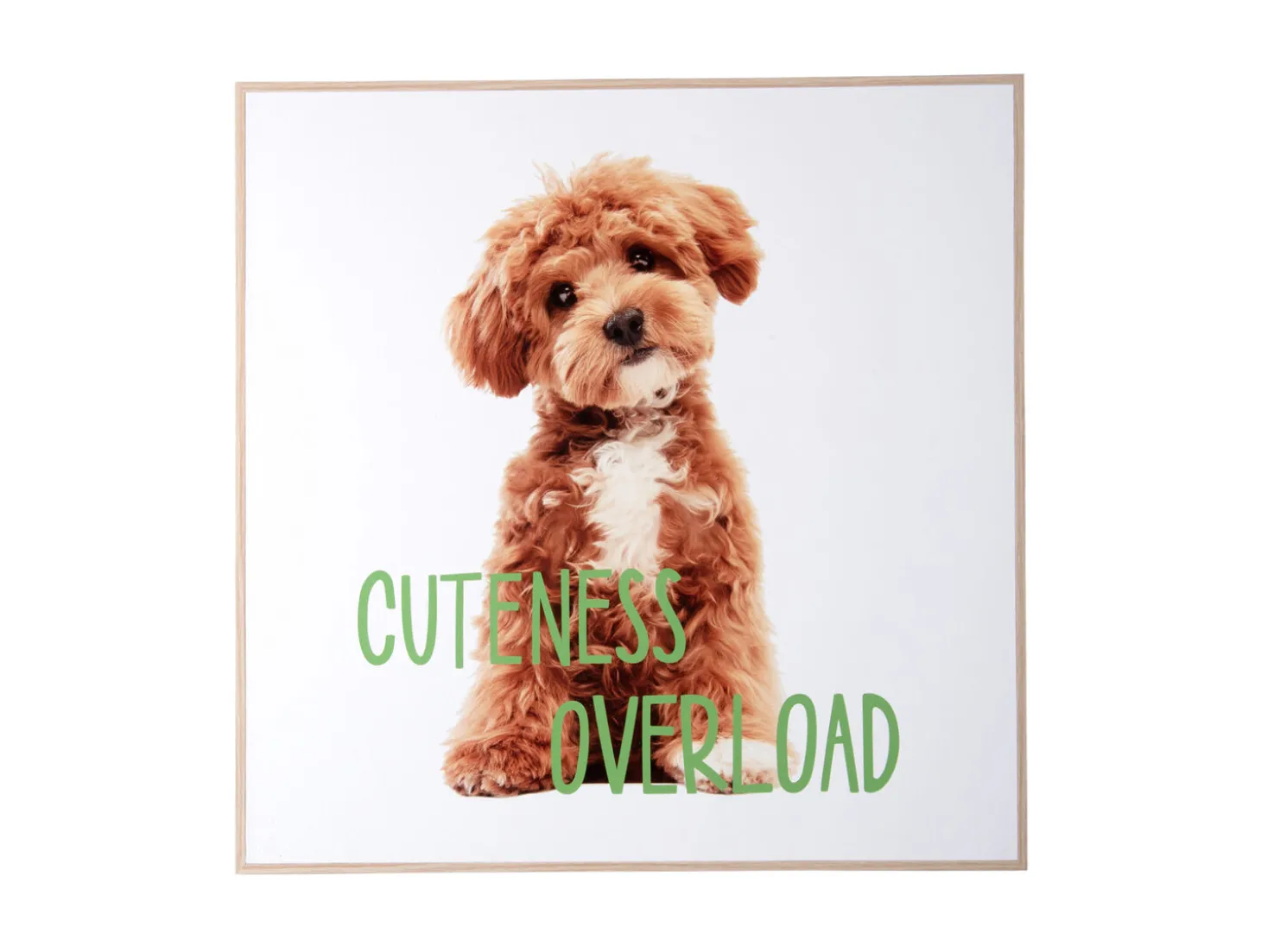 Present time - Wall art puppy Cuteness Overload green
