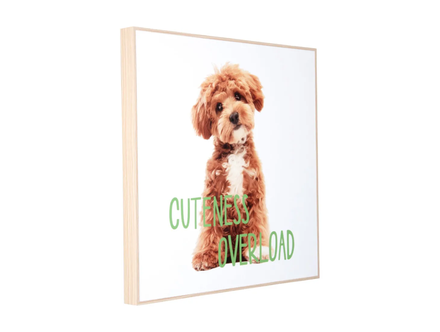 Present time - Wall art puppy Cuteness Overload green