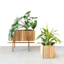 SQUARELY COPENHAGEN - Plantekasse - GrowWIDE - Ask Natur