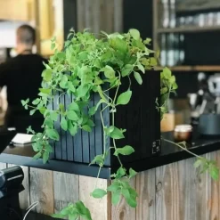SQUARELY COPENHAGEN - Plantekasse - GrowON - Sort Ask