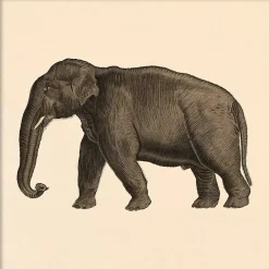 The Dybdahl - Plakat - Elephant, Mini Print - 15x15 cm