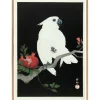 The Dybdahl - Plakat 50x70 cm. - Cockatoo & Pomegranate - Papir