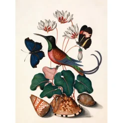 The Dybdahl - Plakat 50x70 cm - Hummingbird, Butterflies & Flowers - Papir