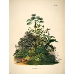 The Dybdahl - Plakat 50x70 cm - Mauritia - Papir